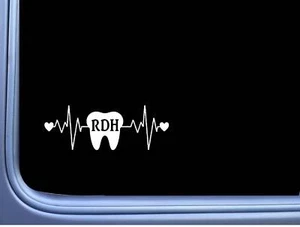Calcomanía de ventana RDH Tooth Lifeline M184 8 pulgadas dentista higienista - Imagen 1 de 1
