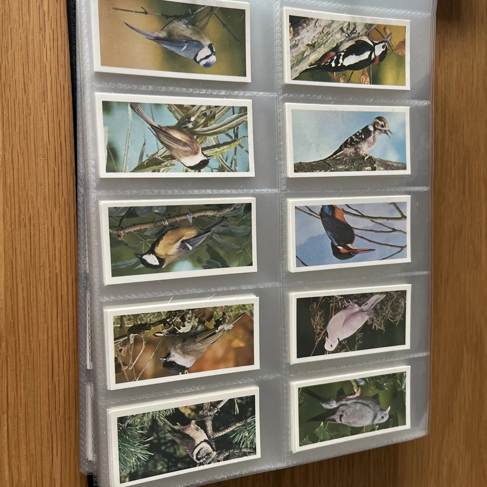 Carreras Craven Black Cat British Birds Full Set of 50 Cigarette cards  - Image 1 of 4