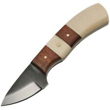 Sawmill SM0021 Bone/Wood Handle Filework Hunter Fixed Blade Knife Drop Point