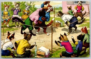 Mainzer Eugen Hartung Cats Postcard Backyard Boxing Anthropomorphic Spain UNP - Picture 1 of 2