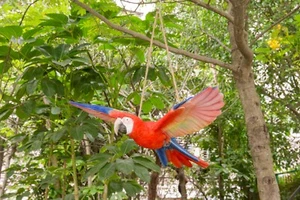 Flying Scarlet Parrot Bird Garden Statue Animal Home Decor Indoor/Outdoor - Picture 1 of 6