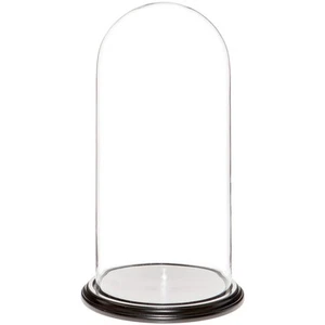 Cúpula de exhibición de vidrio Plymor 9,75" x 20" (base de chapa de madera negra) - Imagen 1 de 1