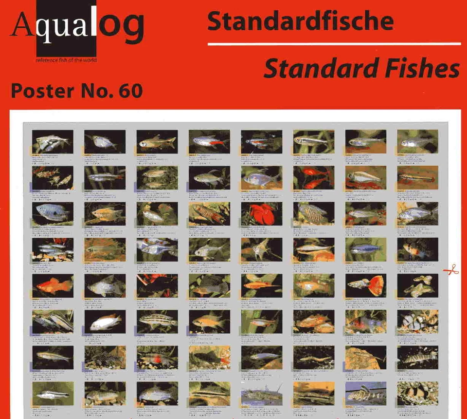AQUALOG - Fold Poster Fish for Beginners - Image 1 of 1