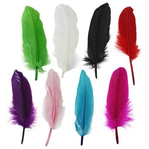 Large 5 Inch Goose Feathers! Art and Craft Coloured Gift Cardmaking Large Quill  - Picture 1 of 18