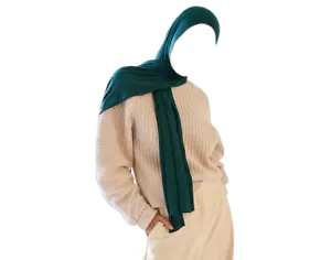 PREMIUM QUALITÄT TRIKOT HIJAB SCHAL SCHAL DEHNBAR MAXI LYCRA WICKEL EINFACH - Bild 1 von 15
