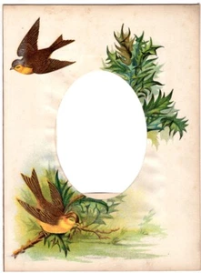 Colorful Photo Album Page 208x282mm for Cabinet Card Birds circa 1880 - Imagen 1 de 2