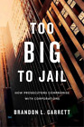 Brandon L. Garrett Too Big to Jail (Paperback)