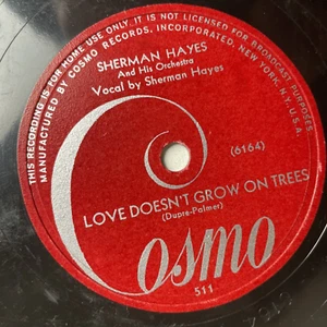 10" 78 RPM-Sherman Hayes-What've You Got to Lose But Your Heart/Love Doesn't Gro - Foto 1 di 4