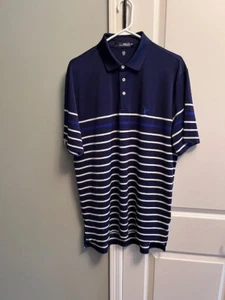 Ralph Lauren Polo Golf RLX Men's Large, Blue Stripe Polo-Beautiful-NWOT! - Picture 1 of 4