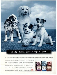 PRINT AD, 1998 Purina Puppy Chow Help Him Grow Up Right Cute Dalmatian Terrier - Picture 1 of 1