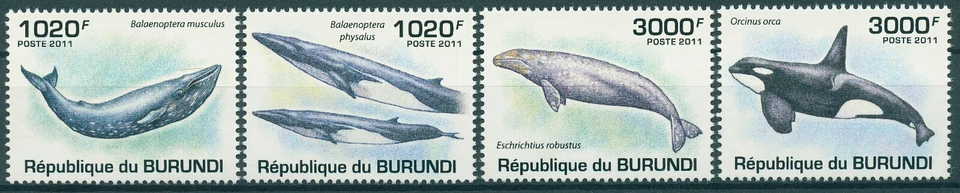 Burundi 2011 MNH Animales Marinos Estampillas Ballenas Aleta Asesino Ballena Azul Orca Juego de 4v Foto 1 de 1