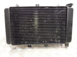 Radiador Triumph TT600 2000 a 2003 - Imagen 1 de 12