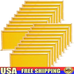 Bee Frames Replacement Kit Wax Coated Foundation High Precision Cut 19in Length - Picture 1 of 6