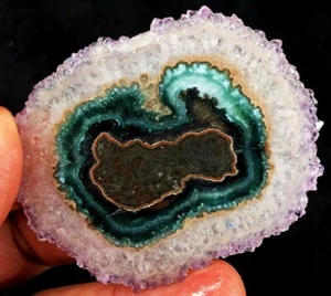 130CT WOW! Boutique Trapiche Naturale Stella Verde Ametista Fiore Esemplare ia4688 - Foto 1 di 12