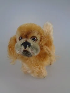 Steiff Hund Peky mit Knopf 1959 - 1967 10cm (8181) - Bild 1 von 5