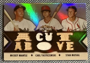 YASTRZEMSKI MANTLE MUSIAL🔥2012 Topps Triple Threads JSY BAT Relic Combo 21/27💥 - Bild 1 von 3