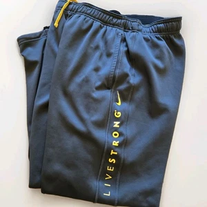 Nike Livestrong Men’s Large Gray Therma-Fit Track Gym Pants Cinch Bottom - Picture 1 of 8