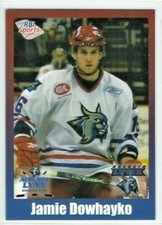 Jamie Dowhayko 2008-09 Augusta Lynx (ECHL) 