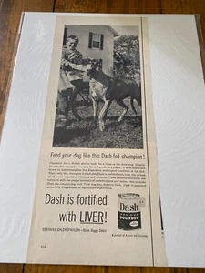 1954 Dash Dog Food Great Dane Champion Asa v. Kenda Dog ad - Picture 1 of 1