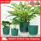 Auto Absorbing Flower Pot Self Watering Planter Hydroponic Potted (M Green)