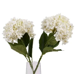 Pair of Artificial Creamy White Hydrangea Flowers Realistic Chic Stems 58cm Tall - Picture 1 of 8
