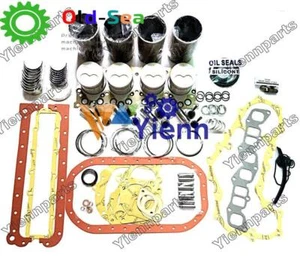 C223 Overhual Rebuild Kit For Isuzu engine TCM forklift Pickup Truck excvator - Picture 1 of 4