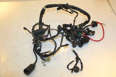 Yamaha Phazer 500 Mountain Lite 2007 arnés de cableado principal telar 8DJ-82590-10-00 Foto 1 de 4