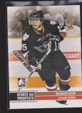 Major Minor League CHL OHL WHL LHJMQ ECHL Cards Inserts Rookies Collection (1/2)