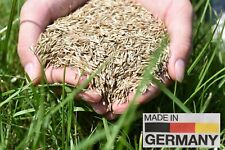 60kg Nasiona trawnika Berliner Tiergarten Trawnik Nasiona trawy Trawnik ozdobny Nasiona trawnika Jakość