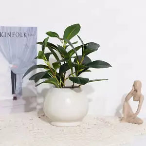 11”Indoor Artificial Peperomia Plant in Color Ceramic Pot Rust Resistant,White - Picture 1 of 6