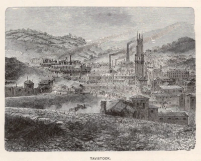 英格兰 - 塔维斯托克和德文波特全景城镇景观古董 1888 年木质雕刻 — 第 1/4 张图片