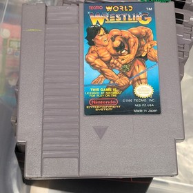 Tecmo World Wrestling - Loose - Good - NES