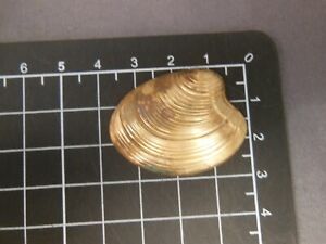 Sea Shell patina/tarnished brass stamping jewelry finding (osb250)