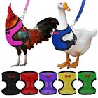 Bow Matching Collars Pet Harness Leash Chick Leads Chicken Vest Hen Belt