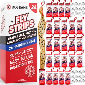 24 Fly Strips Indoor Sticky Hanging with Pins. Paper Tape for Indoors and Outdoo - Picture 1 of 12