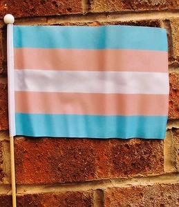 TRANSGENDER Polyester medium HAND WAVING FLAG 9"X6" 22.5cm x 15cm GAY PRIDE - Picture 1 of 1