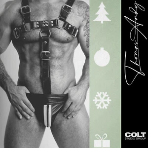 COLT Studio Greeting Cards - Picture 1 of 10