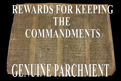 TORAH BIBLE MANUSCRIPT PARCHMENTLEAF 200 YRS OLD EUROPE DEUTERONOMY 10:12-13:8 - Image 1 of 4