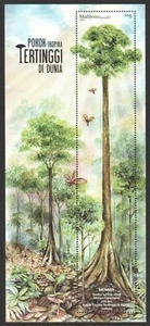 MALAYSIA 2020 WORLD TALLEST TROPICAL TREE MENARA YELLOW MERANTI SOUVENIR SHEET  - Picture 1 of 3