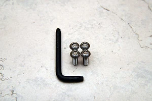 Anti-Theft Security Screws for LEXUS REAR License Plate Frame (4 pcs) - Picture 1 of 2
