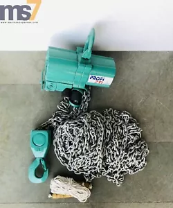 J.D. NEUHAUS PROFI PNEUMATIC AIR CHAIN HOIST 2 TON CAPACITY 50 FT. CHAIN - Picture 1 of 8