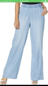 DG2 By Diane Gilman SoftCell Denim Wide-Leg Pant Chambray Blue M Petite - Picture 1 of 4