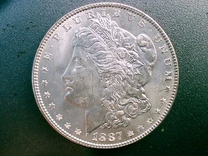 DÓLAR DE PLATA MORGAN 1887 128 AÑOS/PARTE DE LA HISTORIA DE EE. UU. - Imagen 1 de 6