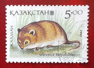 KAZAKHSTAN 1993 5r Used Desert Dormouse Mi 31 Scott 41 Suoperb 8413 - Picture 1 of 2
