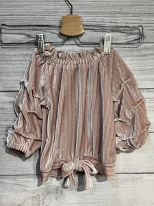 Habitual Girl Baby Pink Velvet & Silver Dress Top SZ 24M - Picture 1 of 6