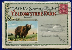 Haynes Yellowstone Park Daisy Geysir Old Faithful Serie A Postkartenordner PF551 - Bild 1 von 2