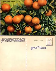 Vintage Postkarte - Die Orange, ein gebürtiger asiatischer Länder, wurde nach Amerika gebracht - Bild 1 von 1