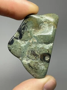 Kambaba Jasper Polished Pocket Stone 1.0oz Crocodile Jasper Meditation Worry Q22 - Picture 1 of 12