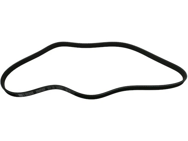 Air Conditioning Multi Rib Belt For 2003-2008 Hummer H2 2004 2005 2006 SD244PP - Image 1 of 1