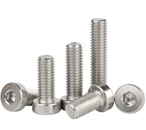 Low Head Socket Cap Screws Coarse Hex Allen Bolts 304 Stainless M6/M8/M10 - Picture 1 of 12